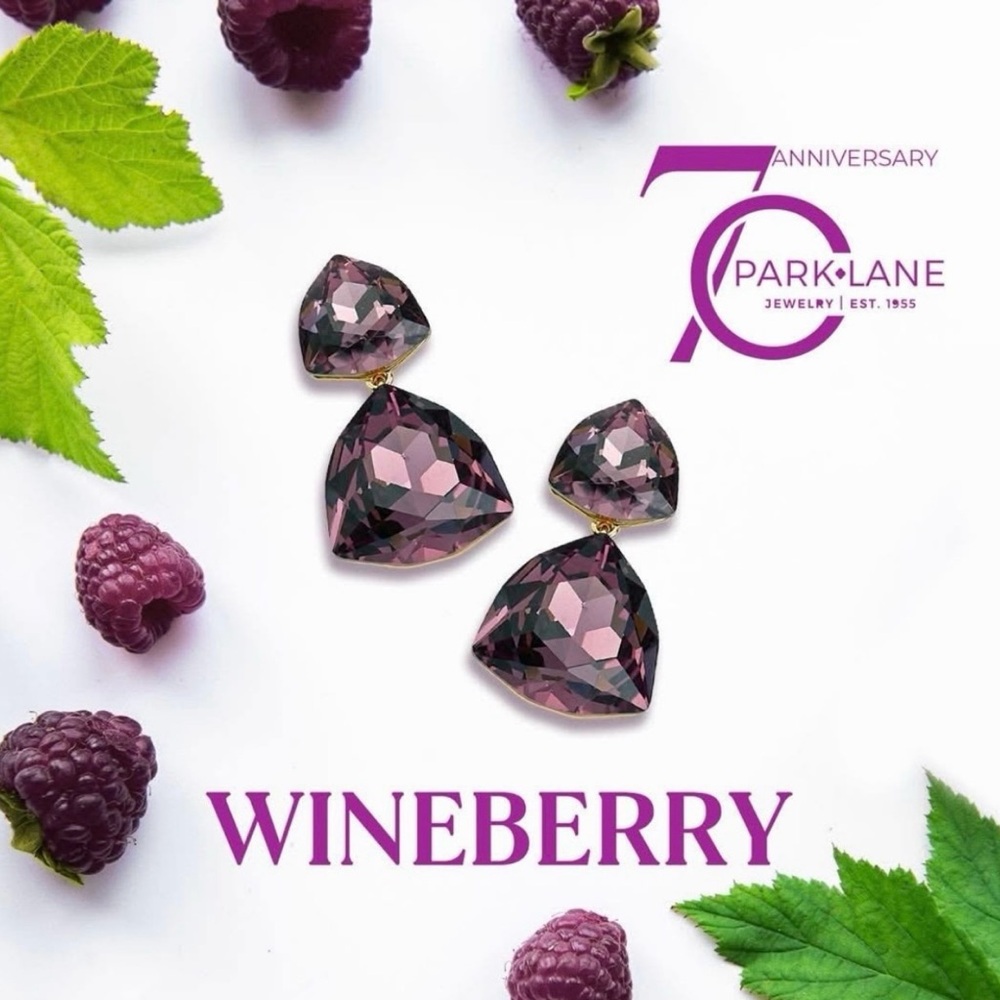 Park Lane “Wineberry” Earrings! BNIB!! Beautiful!!